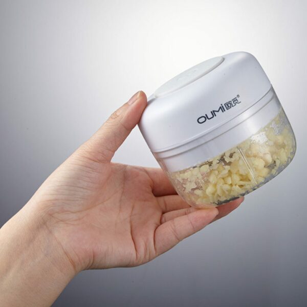 mini kitchen chopper 31051