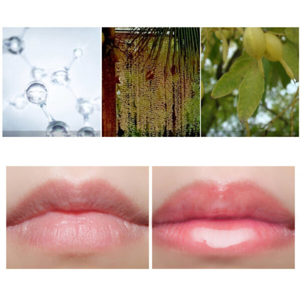 Argan oil lip plump serum 20129