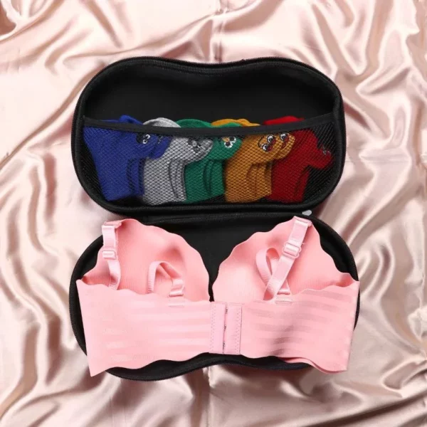 Storage Bag For Lingerie And Underwear Travel Home Organizer
