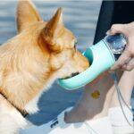 Pet Drinking Bottle 70386