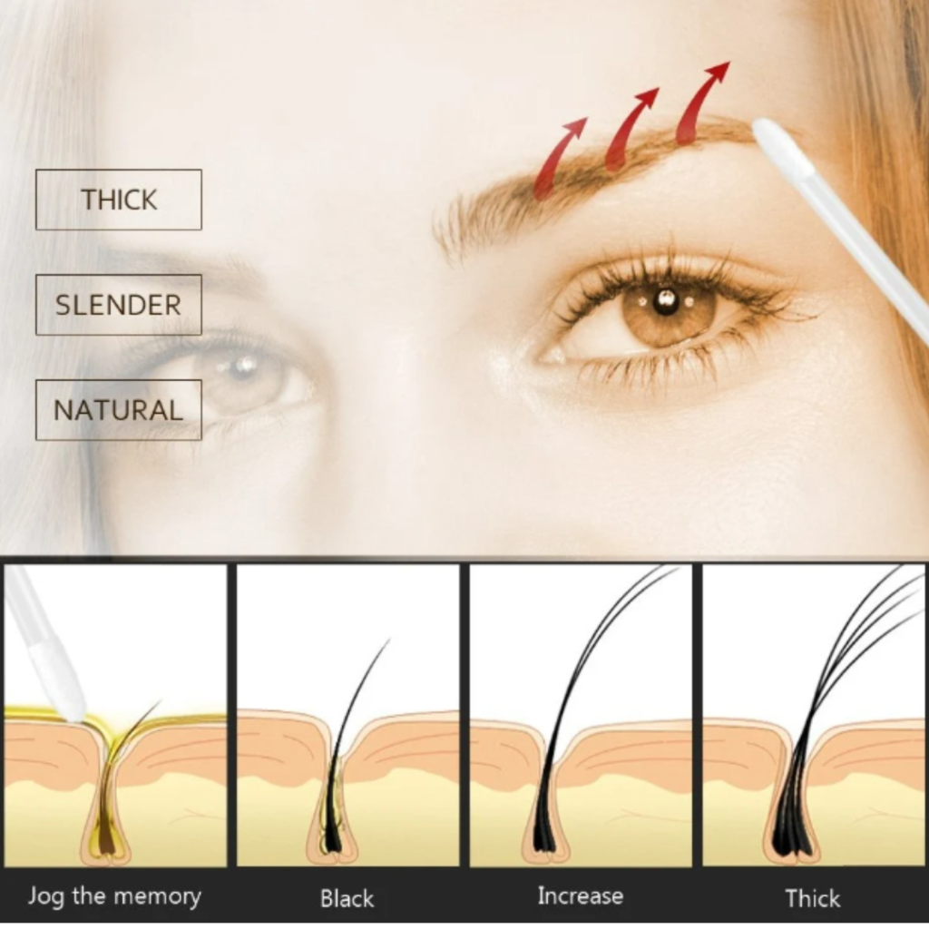 Eyebrow growth serum 31362