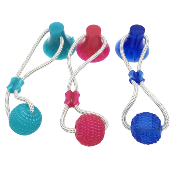 Pet Molar Bite Toy 31183