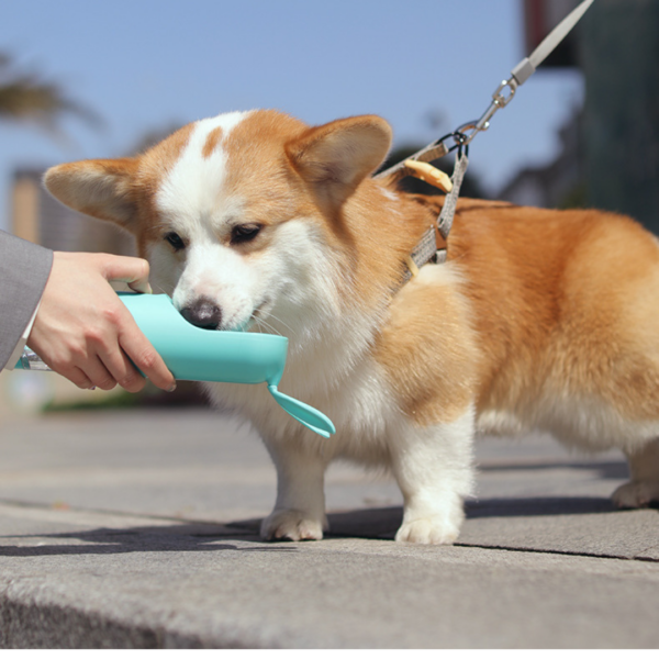 Pet Travel Water Bottle 70385