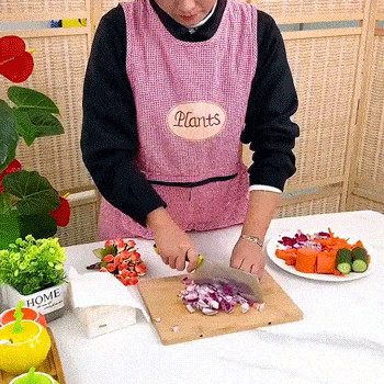 Vegetable Choppers Vegetable And Fruit Dicing Tool 2PCS