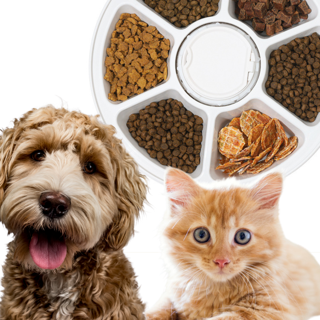 Smart feeder for pet 21615 (14)