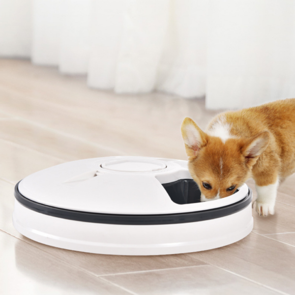 Smart feeder for pet 21615 (5)