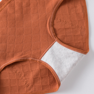 period cotton panty 32293