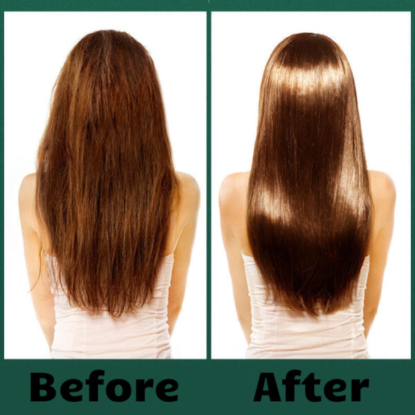 Hair Straightener Brush 10521