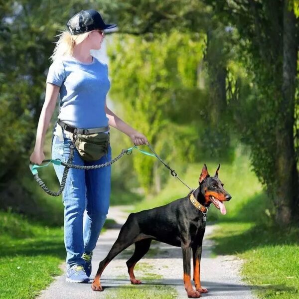 Hand-free Dog Leash 11032
