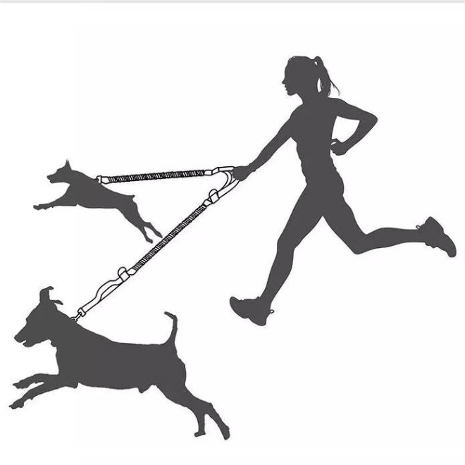 Hand-free Dog Leash 11032