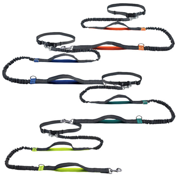 Hand-free Dog Leash 11032