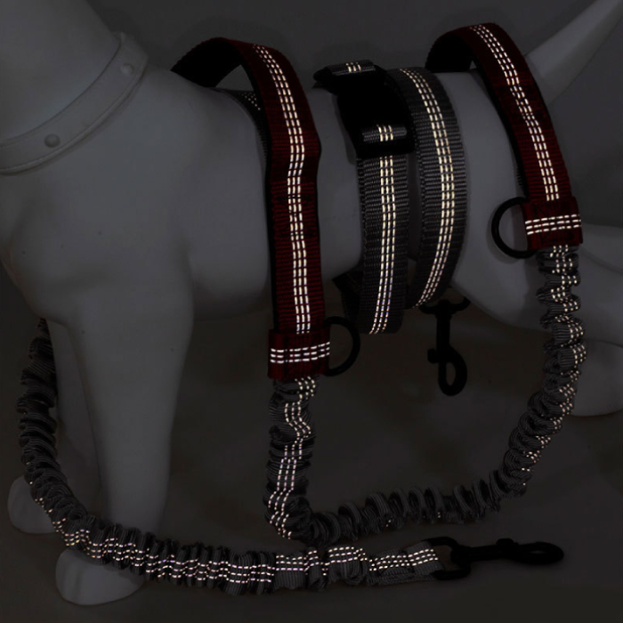 Hand-free Dog Leash 11032