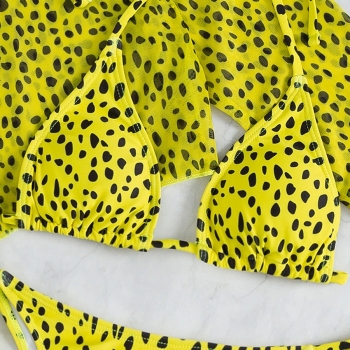 BA000251B_33