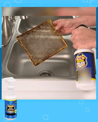 Multi-Purpose Stain Remover 10944