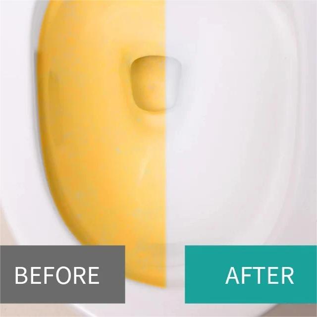 Toilet Bowl Cleaner Tablet 21955