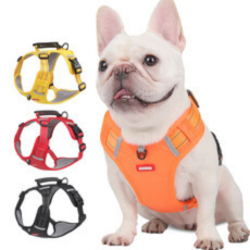Vibrant Reflective Mesh Dog Harness - Adjustable & Breathable