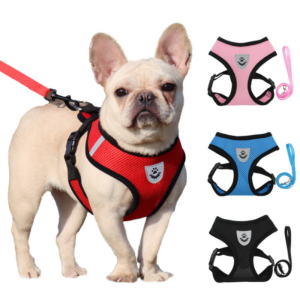 Vibrant Reflective Mesh Dog Harness - Adjustable & Breathable