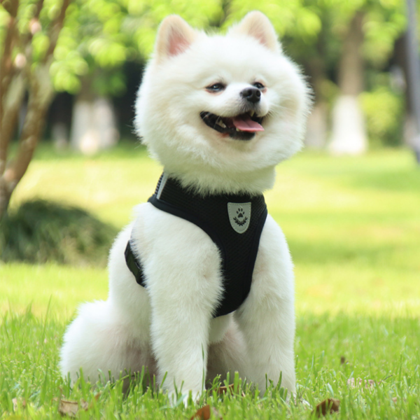 Vibrant Reflective Mesh Dog Harness - Adjustable & Breathable