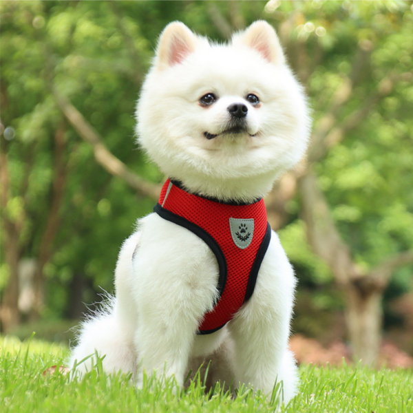 Vibrant Reflective Mesh Dog Harness - Adjustable & Breathable