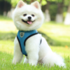 Vibrant Reflective Mesh Dog Harness - Adjustable & Breathable